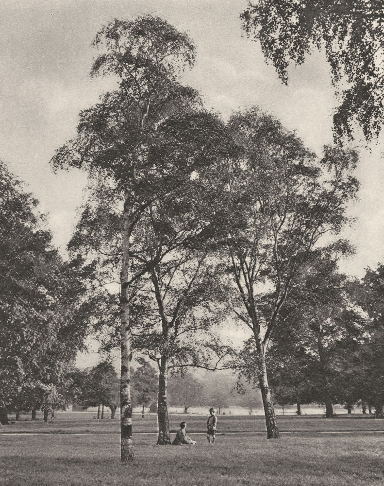 LONDON. A summer morning in Hyde Park. Children 1926 old vintage print picture